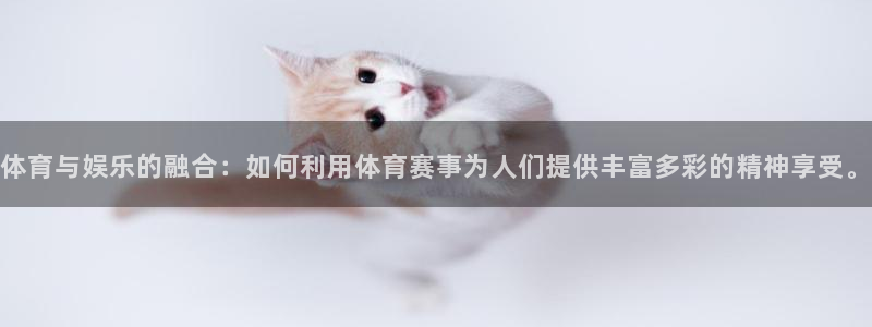 汇赢国际极速版最新版本下载