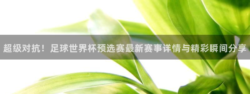 广东汇赢
