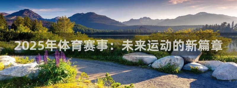 智汇赢