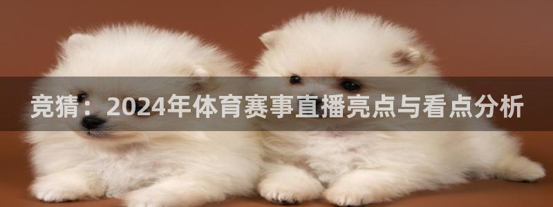 汇赢国际君临国际导航