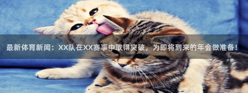 汇赢国际