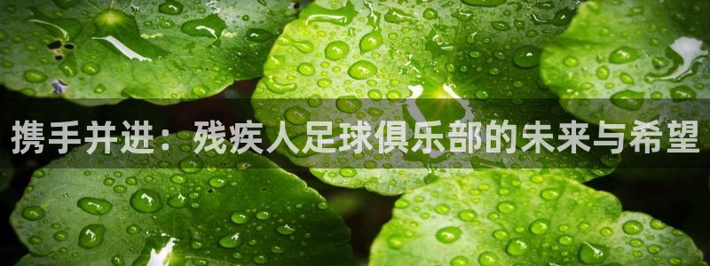 汇赢国际电子汇统登录入口