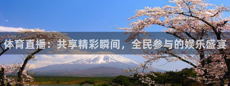 汇赢国际入