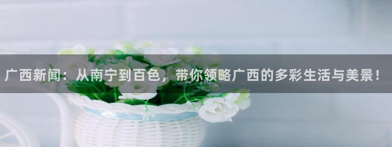 汇赢下载