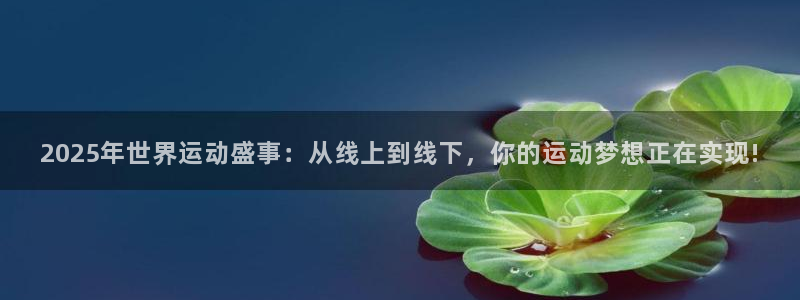 中视汇赢