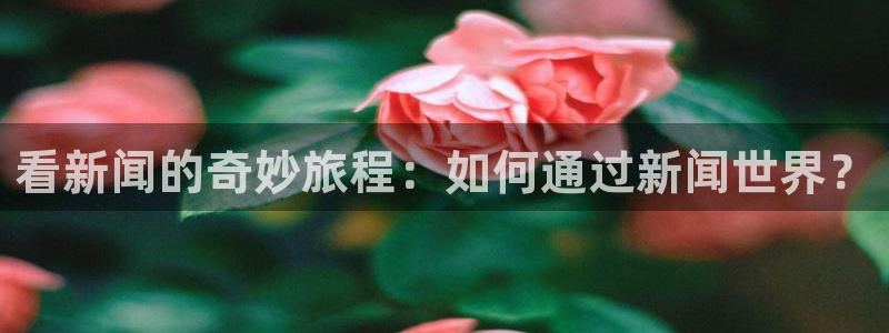 汇赢国际入
