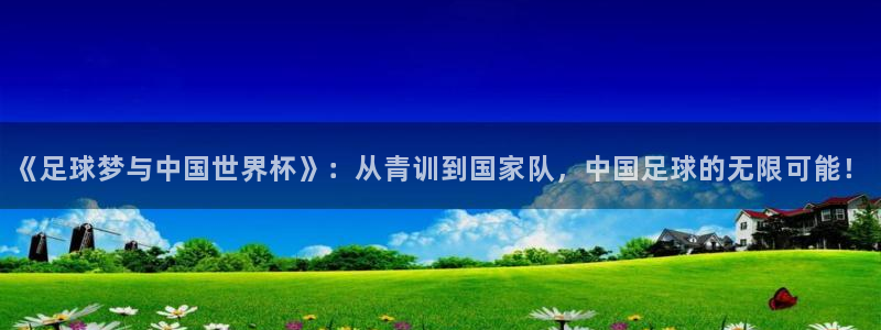 步步汇赢