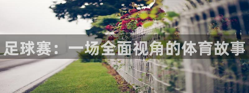 汇赢教育