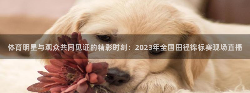 汇赢国际